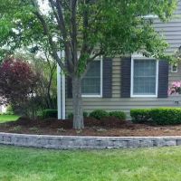 General Landscaping and Tree Services ico