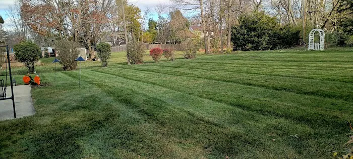 Royal Blue Landscaping Corp Picture 7