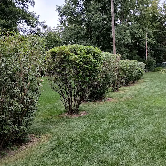 Royal Blue Landscaping Corp Picture 6