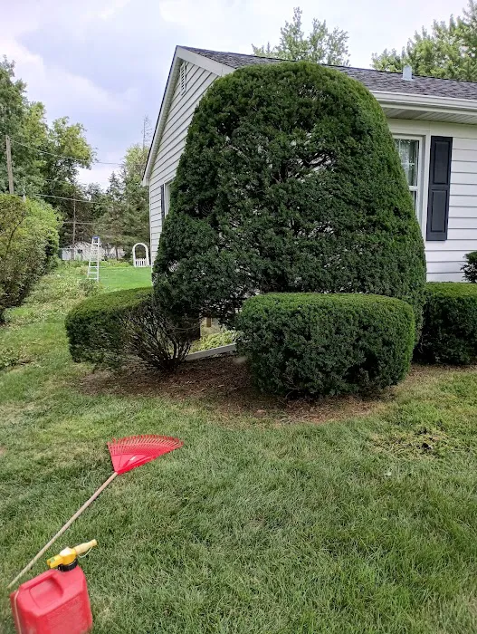 Royal Blue Landscaping Corp Picture 8