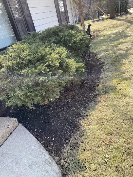 Sunbird Landscaping Picture 4