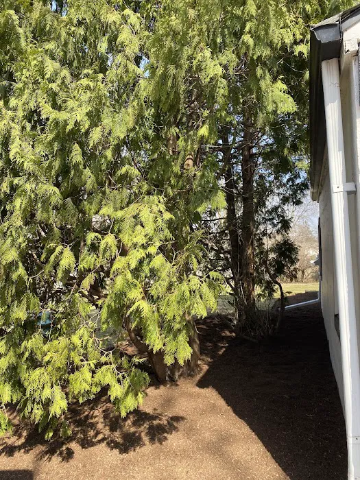 Sunbird Landscaping Picture 9
