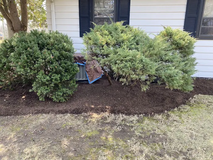Sunbird Landscaping Picture 1