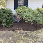 Sunbird Landscaping