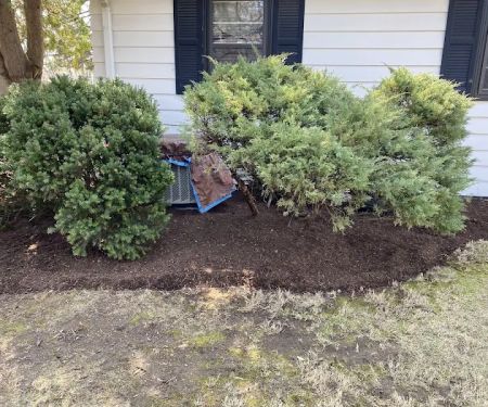 Sunbird Landscaping