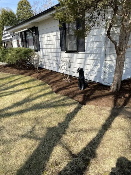 Sunbird Landscaping Picture 5