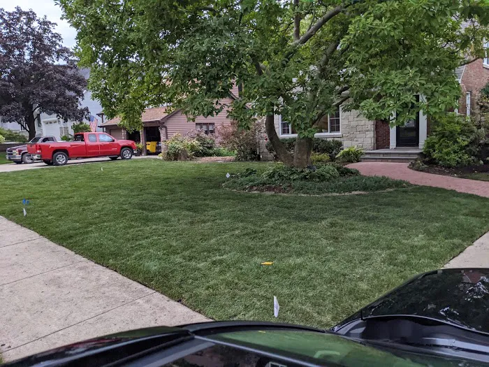 Alvarado's Landscape & Maintenance Picture 2