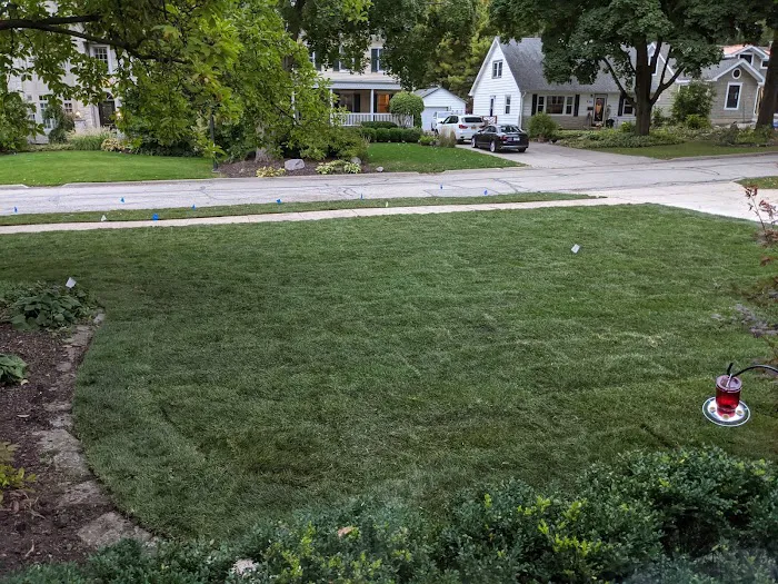 Alvarado's Landscape & Maintenance Picture 1