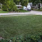 Alvarado's Landscape & Maintenance