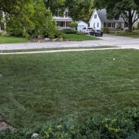 Alvarado's Landscape & Maintenance ico