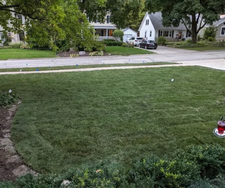 Alvarado's Landscape & Maintenance