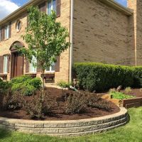 Blue Mountain Landscaping ico