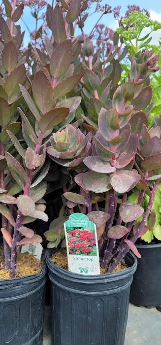 Kaknes Landscape Supply Picture 4