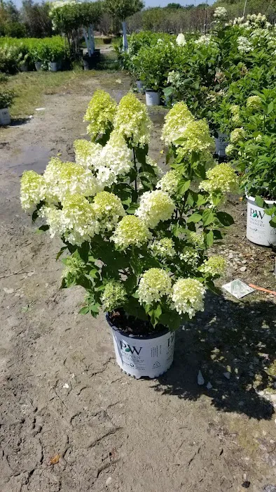 Kaknes Landscape Supply Picture 9