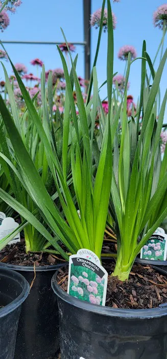 Kaknes Landscape Supply Picture 6