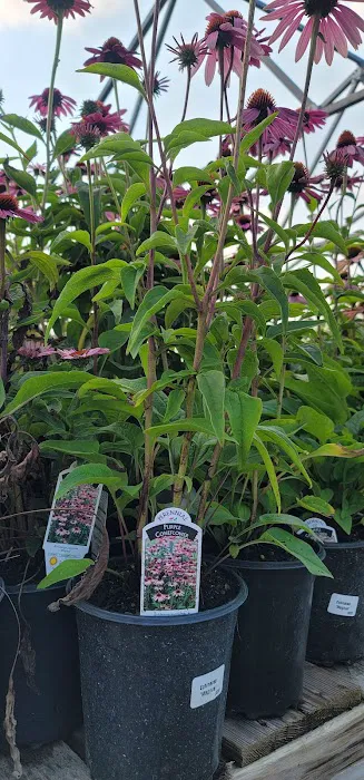 Kaknes Landscape Supply Picture 1