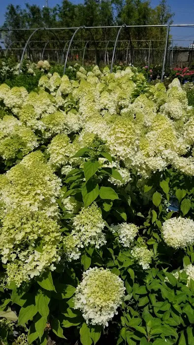 Kaknes Landscape Supply Picture 2