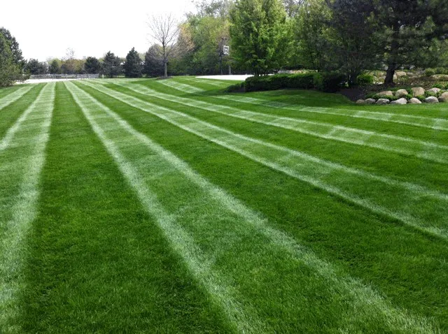 Lockhart's Landscaping & Maintenance, Inc. Picture 10