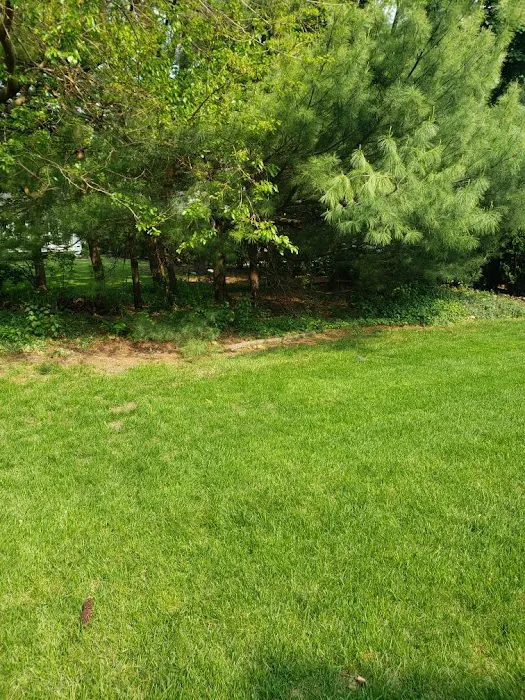 Green Arias Landscaping and Snow Removal Picture 8