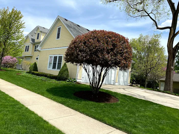 A better landscaping co Picture 9