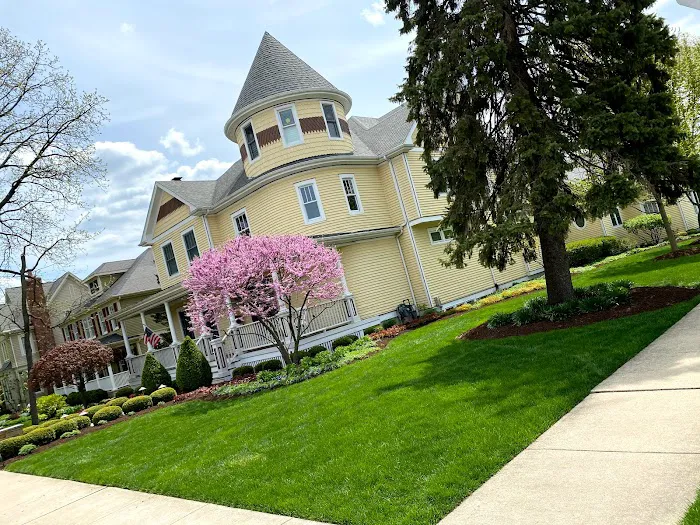 A better landscaping co Picture 4