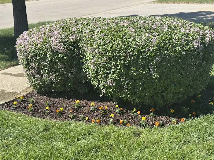 Jose & F Landscaping Picture 5
