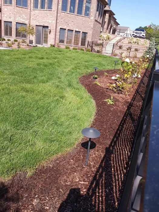 Looking Good Landscaping Picture 8