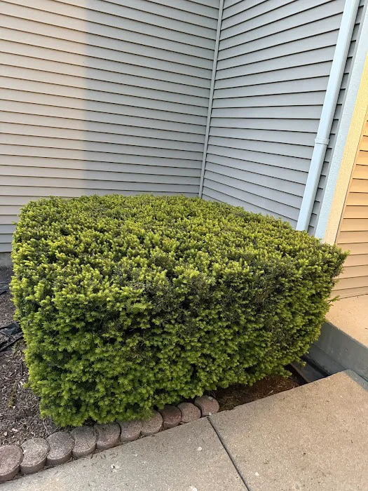 Larry & Sons Landscaping Picture 10