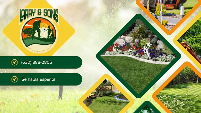 Larry & Sons Landscaping Picture 6