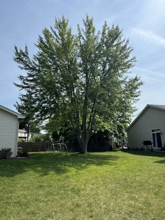 Larry & Sons Landscaping Picture 2