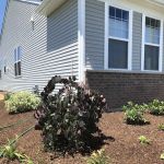 Scenic Landscape Inc