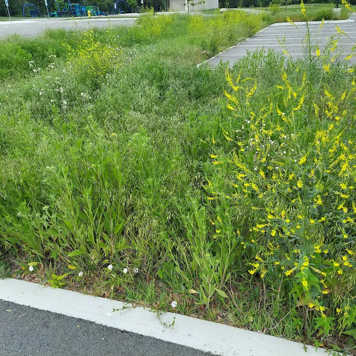Twin Oaks Landscaping Picture 4