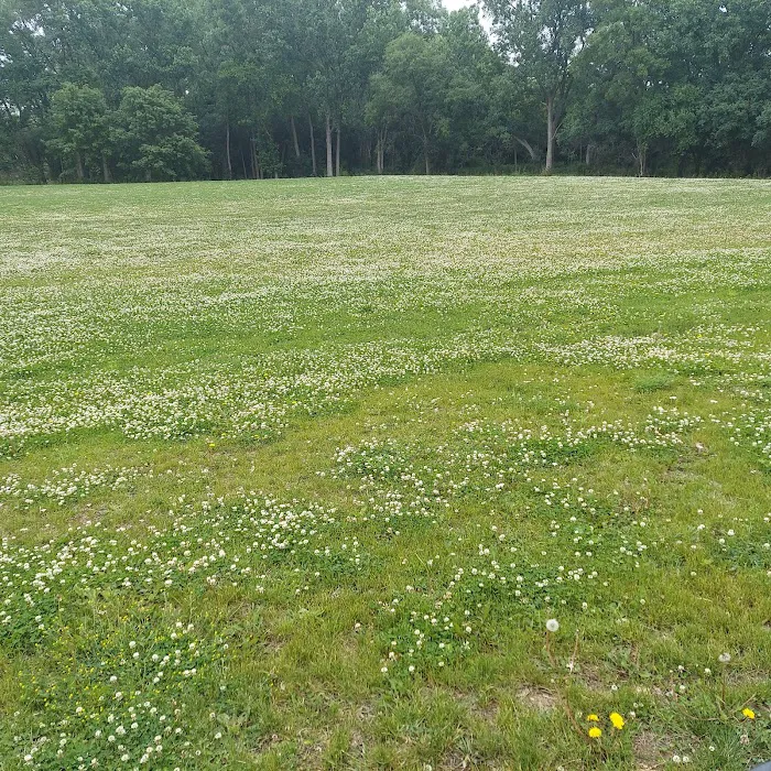 Twin Oaks Landscaping Picture 2