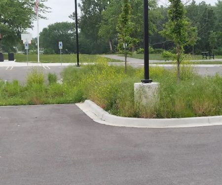 Twin Oaks Landscaping