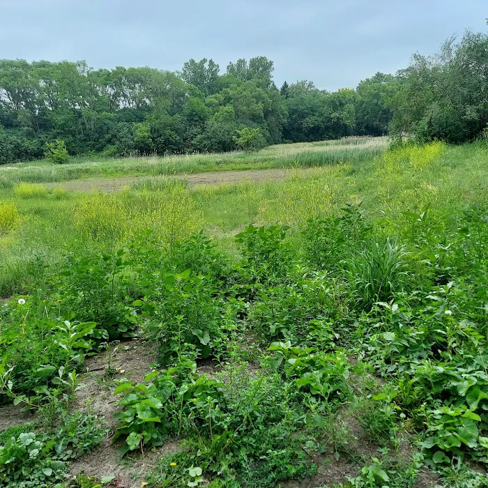 Twin Oaks Landscaping Picture 3