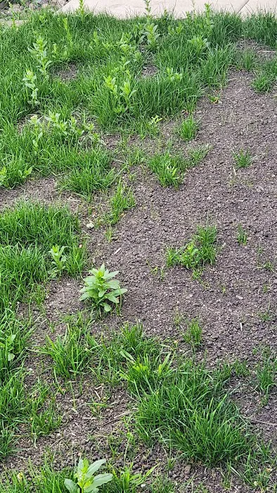 Duke's Landscape Services Picture 2