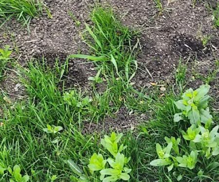 Duke's Landscape Services