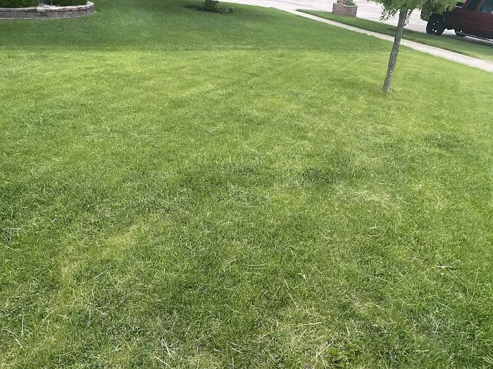 Bull Landscaping Picture 1