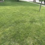 Bull Landscaping