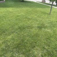 Bull Landscaping ico
