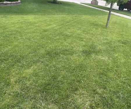 Bull Landscaping