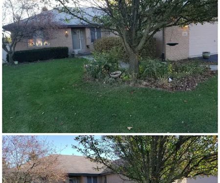 Envision Landscaping