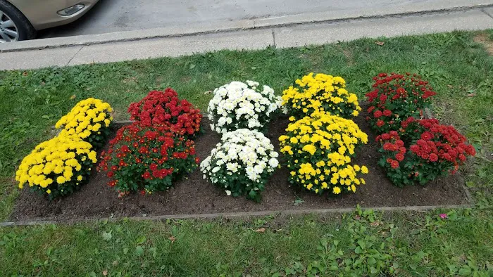 S Rivera Landscaping Picture 5