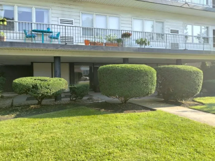 S Rivera Landscaping Picture 6