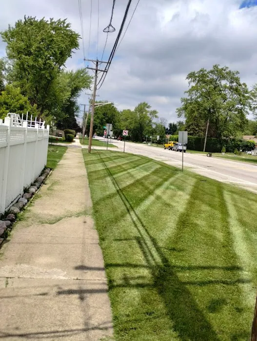 S Rivera Landscaping Picture 8