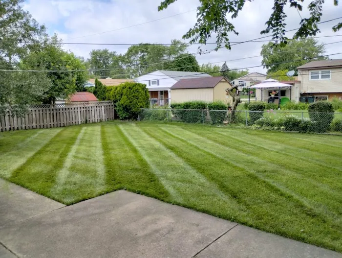 S Rivera Landscaping Picture 10