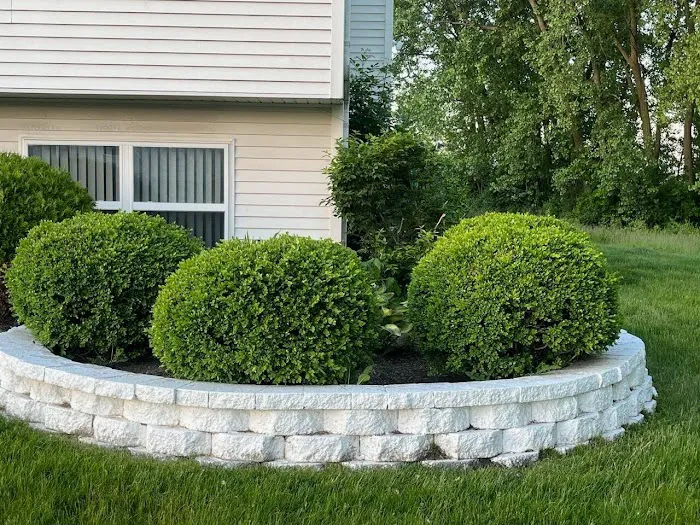 S Rivera Landscaping Picture 7