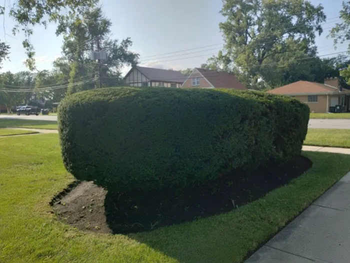 S Rivera Landscaping Picture 4