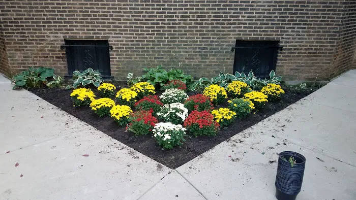 S Rivera Landscaping Picture 2