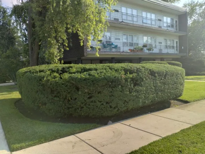 S Rivera Landscaping Picture 3